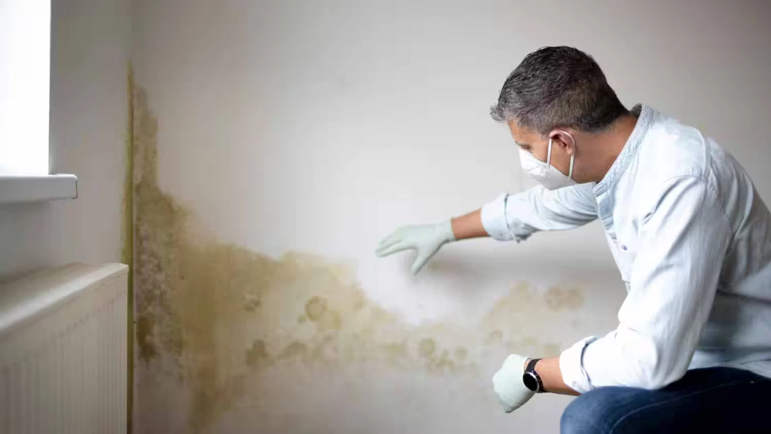 Conore Mold Remediation Services