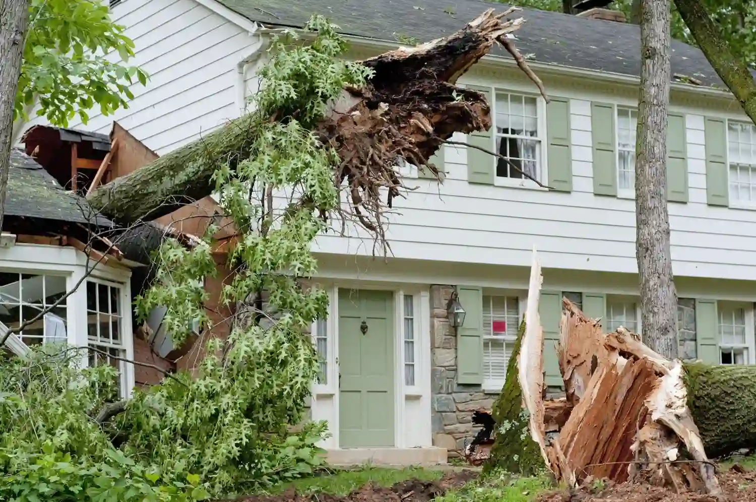 Strom rapir in Conore