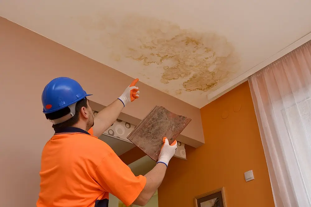 Conore Water Damage Restoration